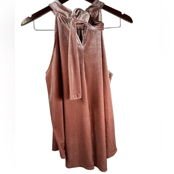 Gipson Women's light pink velvet blouse with bow at the back of the neck, size L - Picture 7 of 13